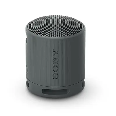 Sony SRS-XB100 Best Bluetooth Speakers Under 5000 in India 2024