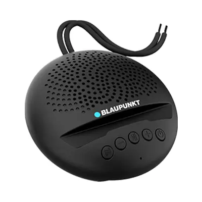Blaupunkt BT03 Best Bluetooth Speakers Under 1000 in India 2024
